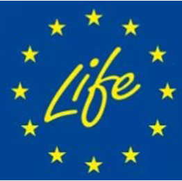Like logo