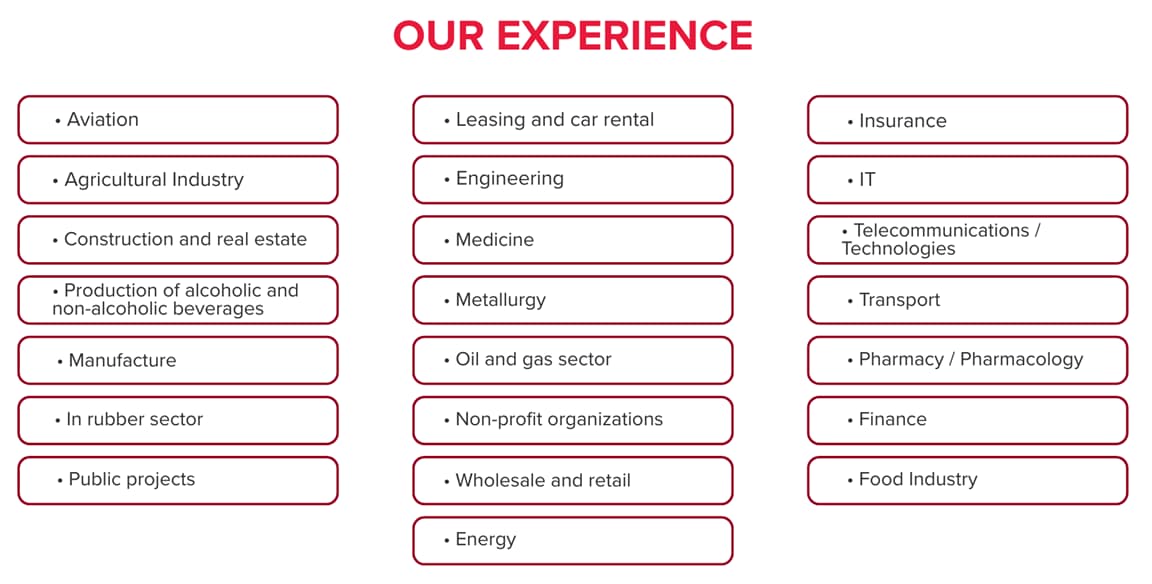 Infographic of the company's industry experience: aviation, agribusiness, construction and real estate, manufacturing, energy, finance and banking, IT, insurance, transportation, telecommunications, medicine, pharmaceuticals, oil and gas, retail, and government projects